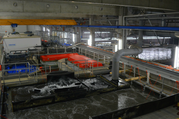 Zur fundierten Ausbildung gehört ein Praktika im Bereich Aquaponics Technik an geschlossenen Kreislaufanlagen.